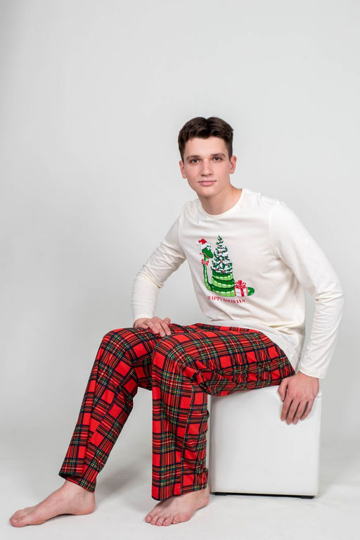 Пижама мужская (джемпер+брюки) 949 Be Friends фото 4