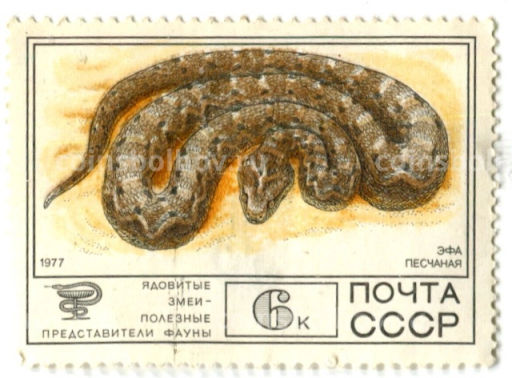 Марка Ядовитые змеи  Эфа песчаная 1977 год