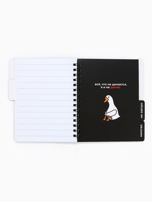 Цена за 2 шт. Блокнот с разделителями А6, 48 листов «Ленивый блокнот»