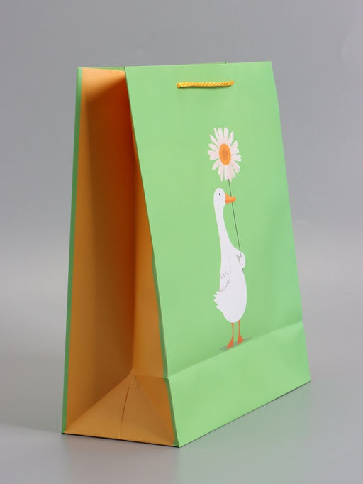 Пакет подарочный ламинированный «Ромашка», 26×12×32 см