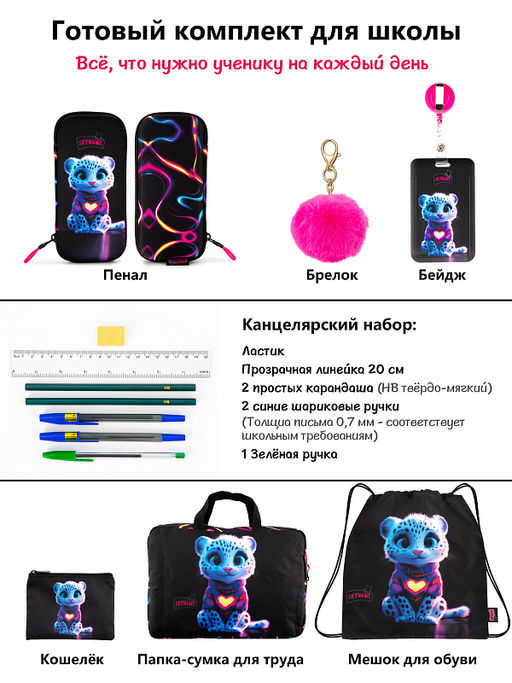 Рюкзак SkyName set-R1-078 + мешок для обуви, папка, пенал, кошелек, бейдж,канц. набор,брелок помпон  фото 15