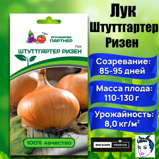Лук репчатый Штуттгартер Ризен - Партнер фото 8