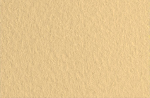 Fabriano Бумага для пастели Tiziano 160 г/м2 A1+ 70 х 100 см лист 10 л. Zabainoe/Кремовый насыщенный 52811005