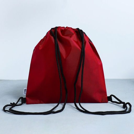 Сумка для обуви Кеды, 2 секции, 41х31 см - Artfox study фото 4