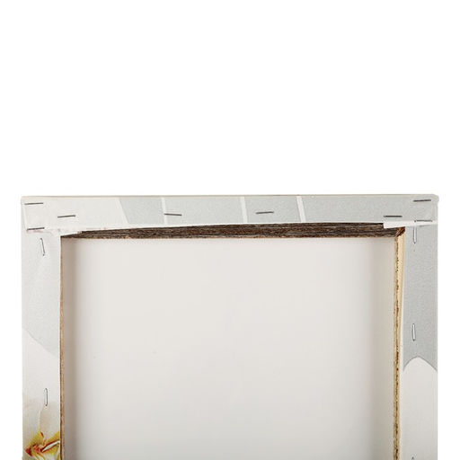 Картина модульная на подрамнике «Ветка Орхидеи», (2-25×50, 30×60 см), 80×60 см