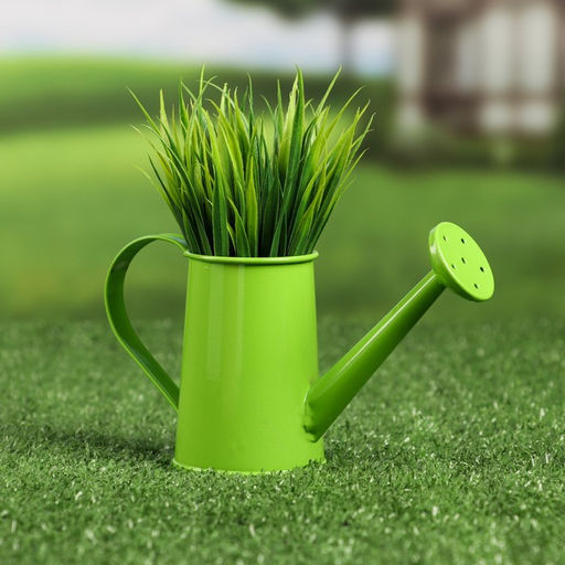 Кашпо «Лейка», 200 мл, металл, МИКС