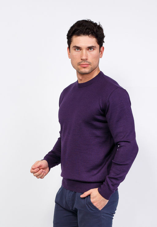 Джемпер мужской CASINO c121-016 слива  фото 7