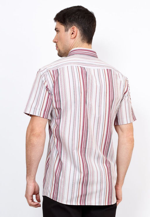 Сорочка мужская короткий рукав GREG Gb361/309/61/Z/1  фото 9