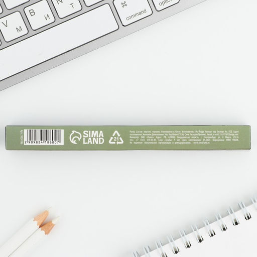 Ручка шариковая, пластик 23 февраля - Artfox фото 12