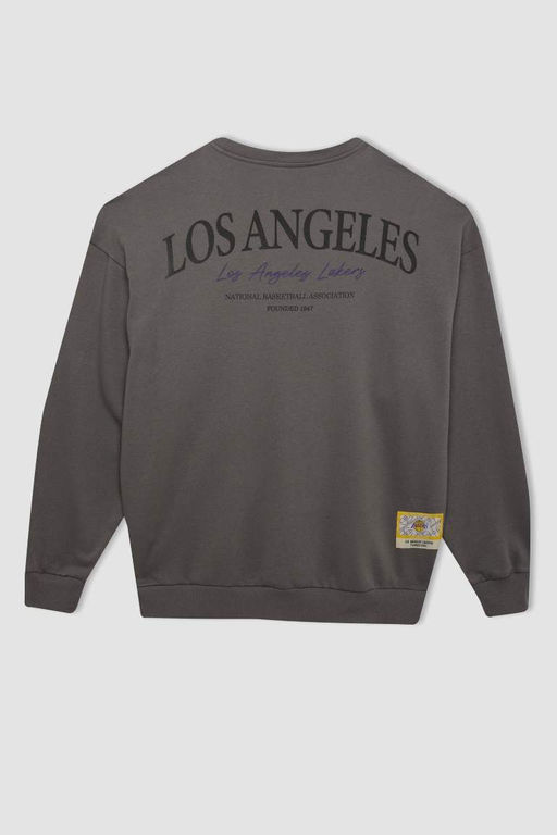 DeFactoFit толстый свитшот оверсайз с круглым вырезом NBA Los Angeles Lakers  фото 14