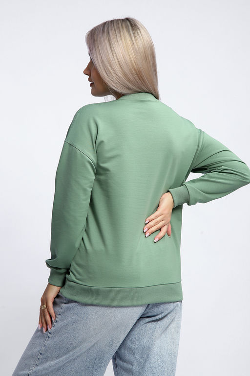 Толстовка 80047