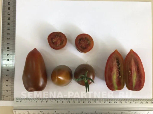 Томат Бурый Саладет F1 - Партнер фото 8