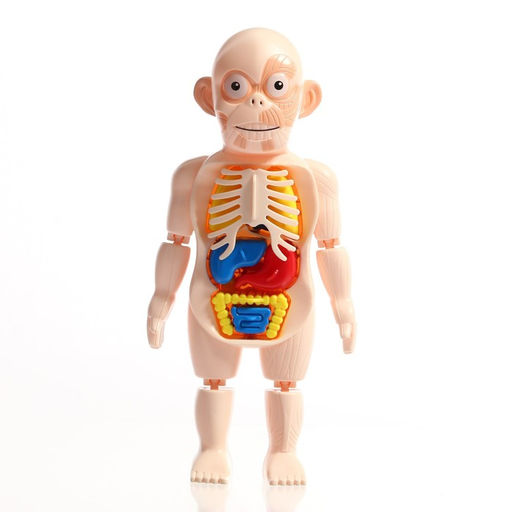 Набор для опытов Научный набор, 3в1 - Эврики фото 5