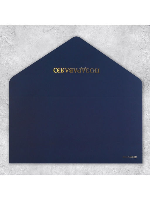 Цена за 2 шт. Конверт подарочный «Клетка», софт тач, тиснение, 19×9 см