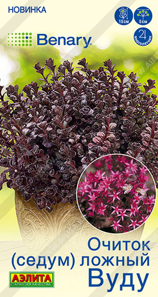 2021A Очиток (Седум) ложный Вуду 5шт