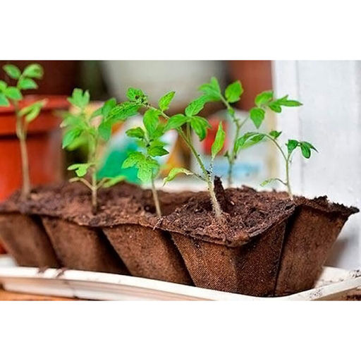 Блок торфяных горшочков 8 ячеек 70х70х70мм - Дача удачи фото 2