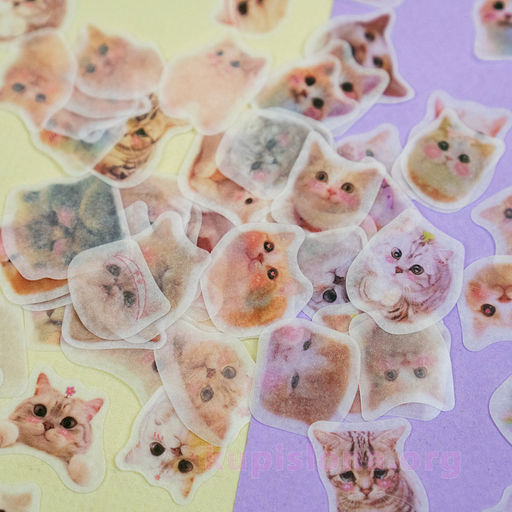 Набор наклеек Face cat - Купи слона фото 2