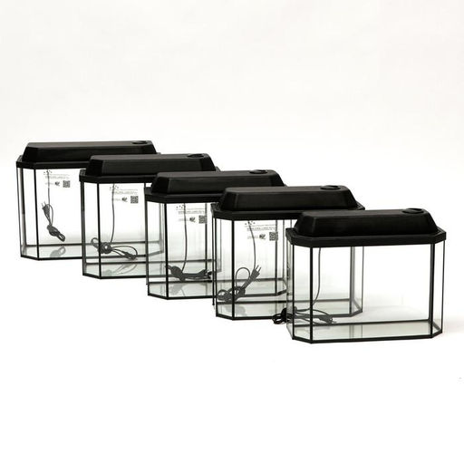 Комплект аквариумов Матрешка - 5шт, Панорамные с крышками, 15 л, 20 л, 25 л, 30 л, 40 л - Пижон фото 2