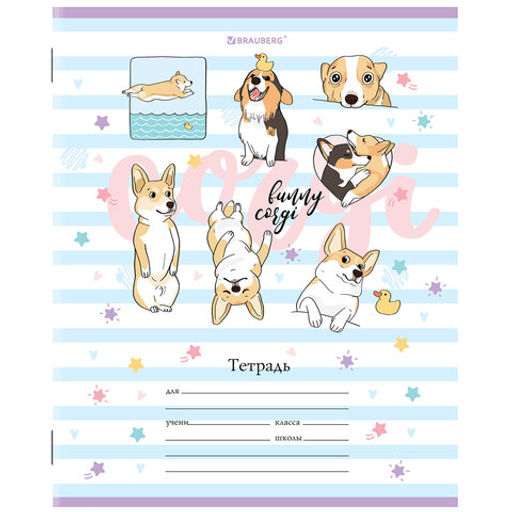 Цена за 6шт. Тетрадь 12 л. BRAUBERG, клетка, обложка картон, "КОРГИ"