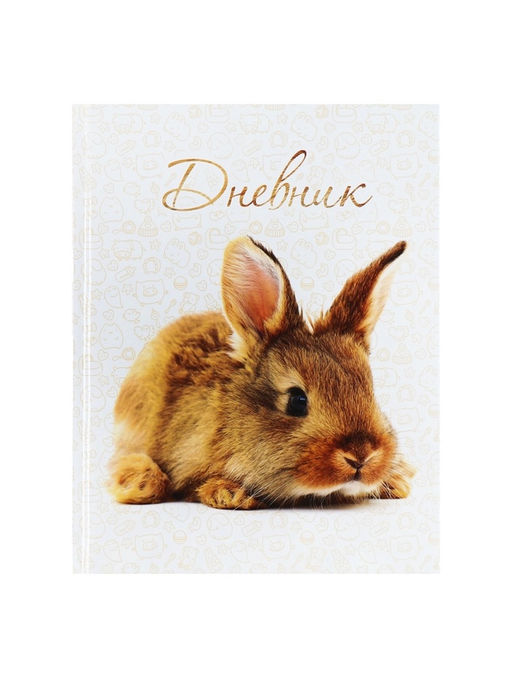Цена за 2 шт. Дневник школьный для 1-11 классов, «Заяц», твёрдая обложка 7БЦ, глянцевая ламинация, 40 листов