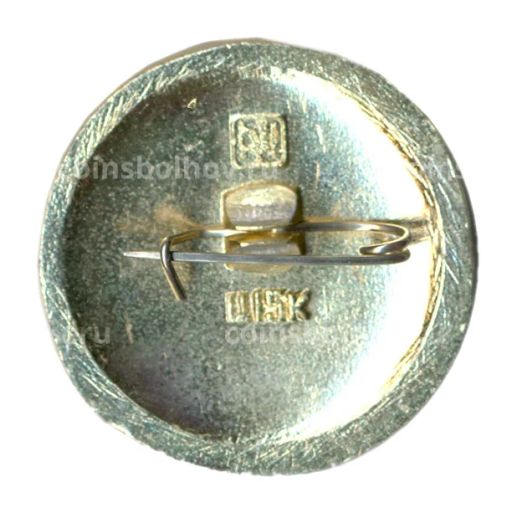 Значок Суздаль  Золотое кольцо