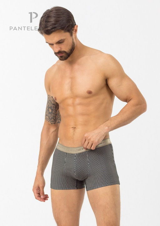 Мужские трусы-шорты PMH-1226 Полоса серая - Pantelemone фото 4