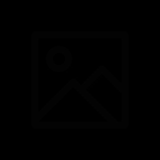 Роза Репаблик де Монмарт (Флорибунда) 1шт