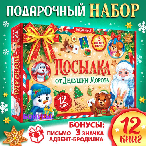 Подарок на Новый год для детей Посылка от Дедушки Мороза, большой новогодний подарочный набор книг 12 шт., письмо деду морозу, адвент - бродилка, значки