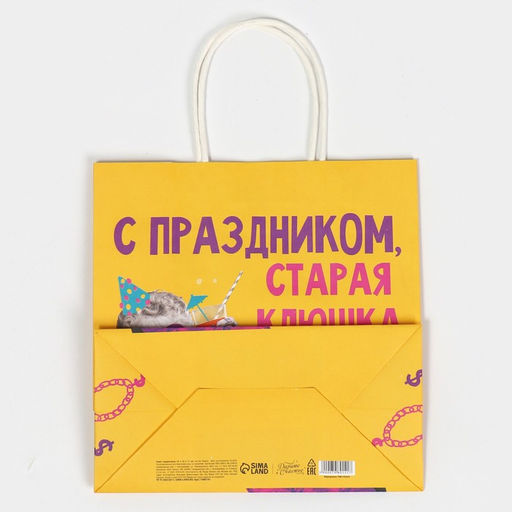 Пакет подарочный Клюшка, 22 х 22 х 11 см - Дарите счастье фото 7