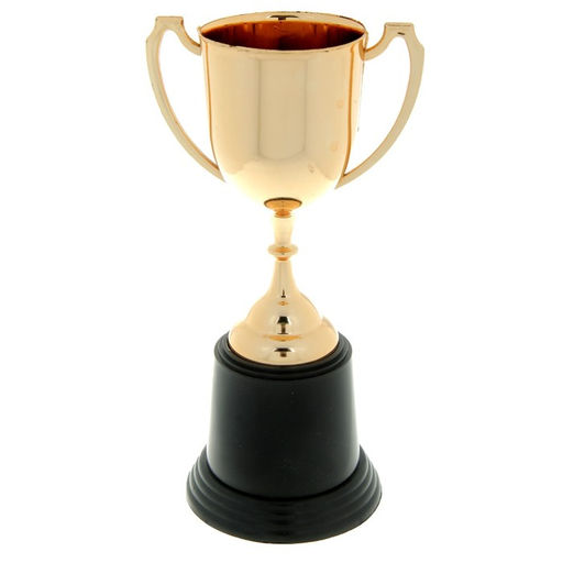 Кубок 036С, бронз., подставка пластик, 10 12,5 22,7 см - Командор фото 3