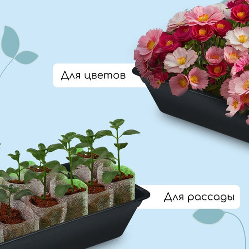 Цена за 3 шт. Ящик для рассады, 50×20×10 см, 6 л, пластик, цвет МИКС, «Урожай-3 м»