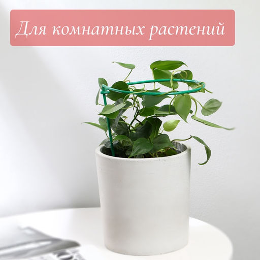 Цена за 10 шт. Кустодержатель для клубники, d=20 см, h=25 см, ножка d=0.3 см, металл, зелёный, Greengo  фото 3