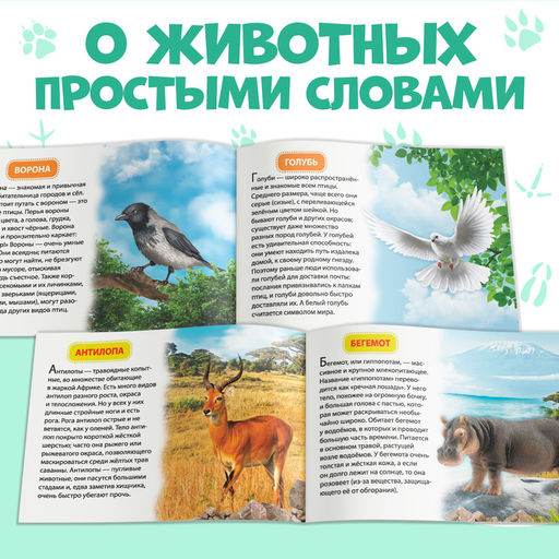 Обучающие книжки набор 6 шт. Узнаём про всё вокруг, 108 животных и птиц - Буква-Ленд фото 8