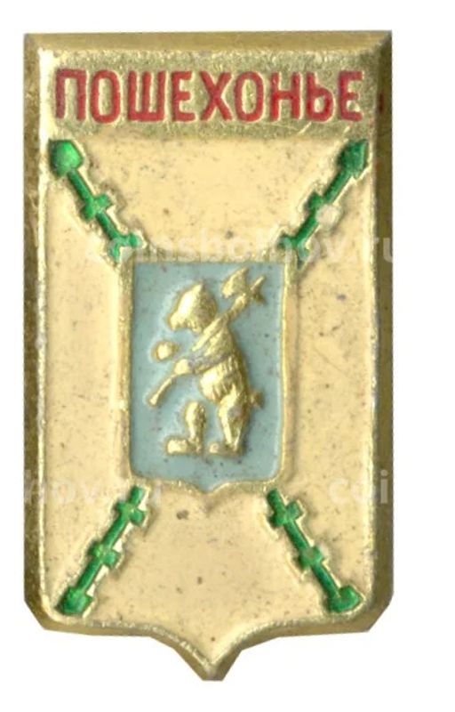 Значок Пошехонье