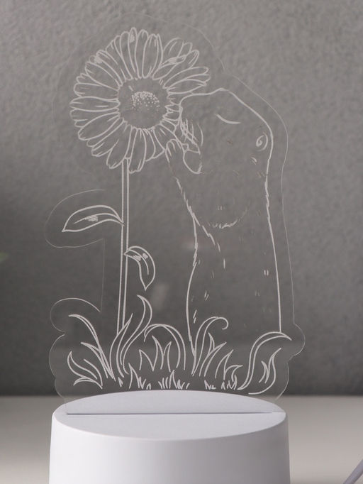 Светильник 3D RISALUX Суслик и ромашка, LED-ночник, RGB, от сети, 9.5?10.1?17 см  фото 7