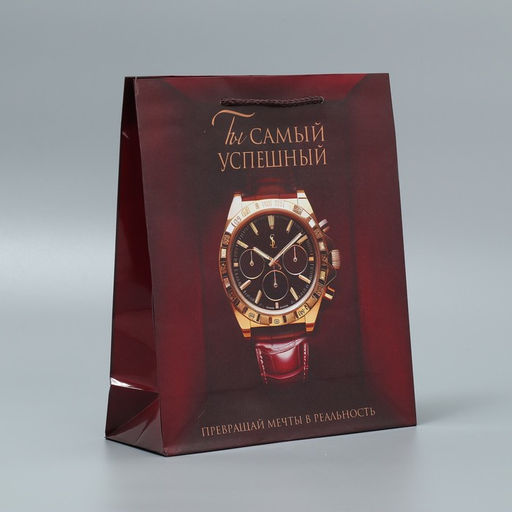 Пакет ламинированный Успех, ML, 25 х 21 х 8 см