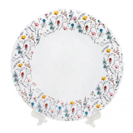 Тарелка обеденная Летнее Настроение 24 см арт.OLHP-95/K2220-1 /МФК/  фото 2