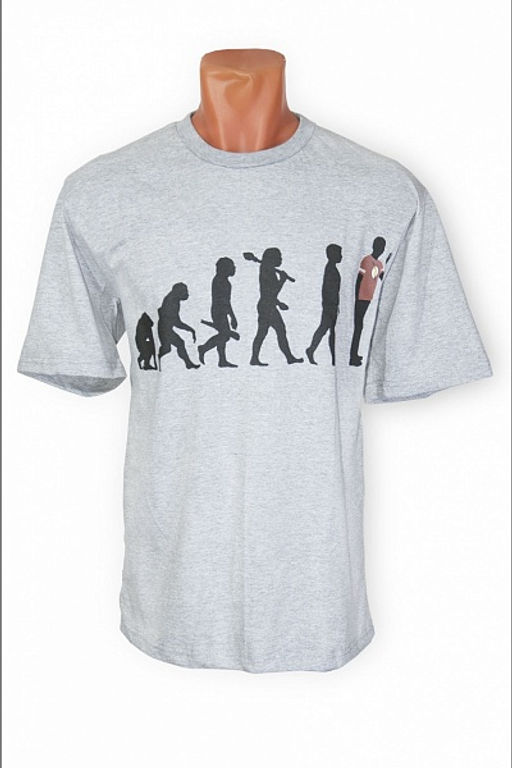 Футболка мужская, принт ЭВОЛЮЦИЯ (300-4) - Плиона фото 2