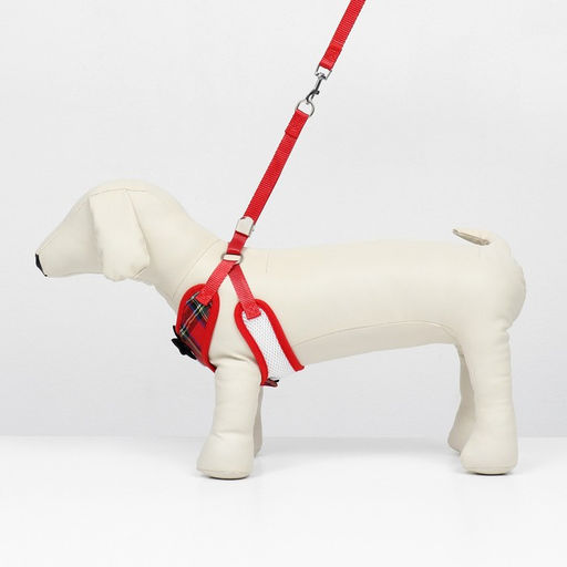 Комплект с мягкой шлейкой и бантиком Клетка, размер M, поводок 120 x 1,5 см, ОГ 28-46 см - Пижон фото 2