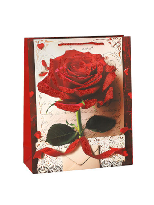 Пакет подарочный 26х32х10 / 4119-2 /уп 12/480/ - ГалеонТрейд фото 4