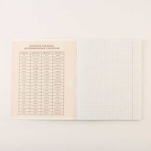 Тетради предметные, 48 л., А5, набор из 3 шт., «КОТ»