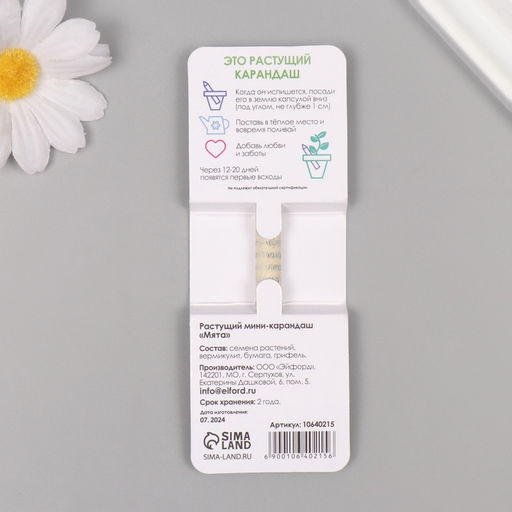 Растущий карандаш подарочный «Мята», mini, простой чернографитный