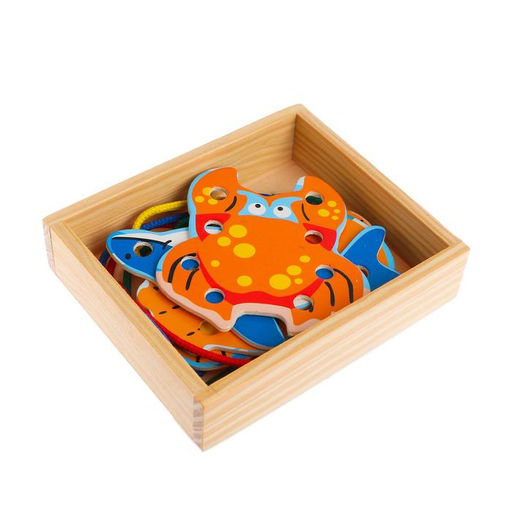 Шнуровка в коробке «Машины», 4 шт., МИКС