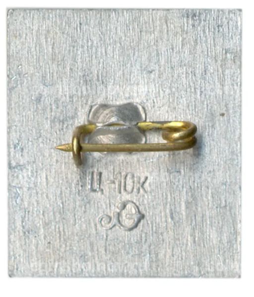 Значок Ботный домик