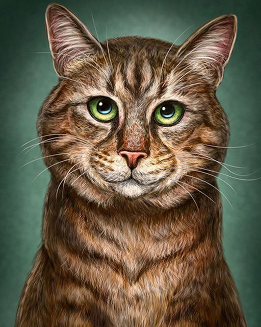 Алмазная мозаика на подрамнике 40х50