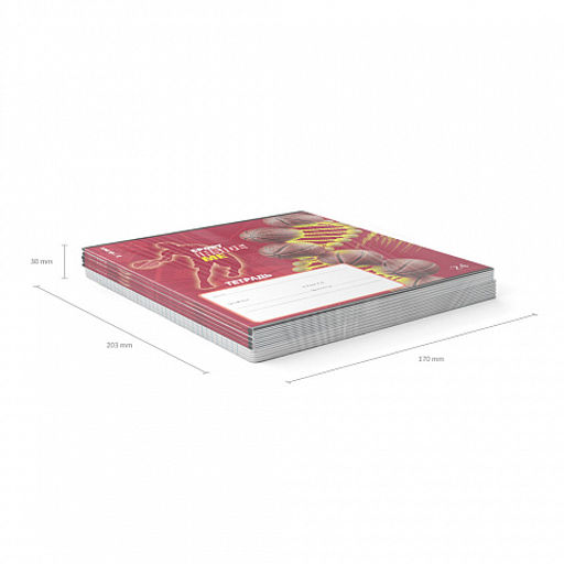 Цена за 10 шт. Тетрадь школьная ученическая ErichKrause Sport DNA, 24 листа, линейка, выборочный УФ-лак+конгрев (в плёнке по 10 шт.)_MIX-PACK  фото 11