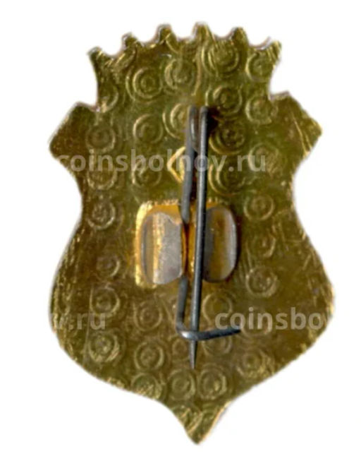 Значок ВСМЗ 125 лет