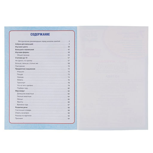 Цена за 2 шт. Годовой курс занятий, 2-3 года, Жукова М.А