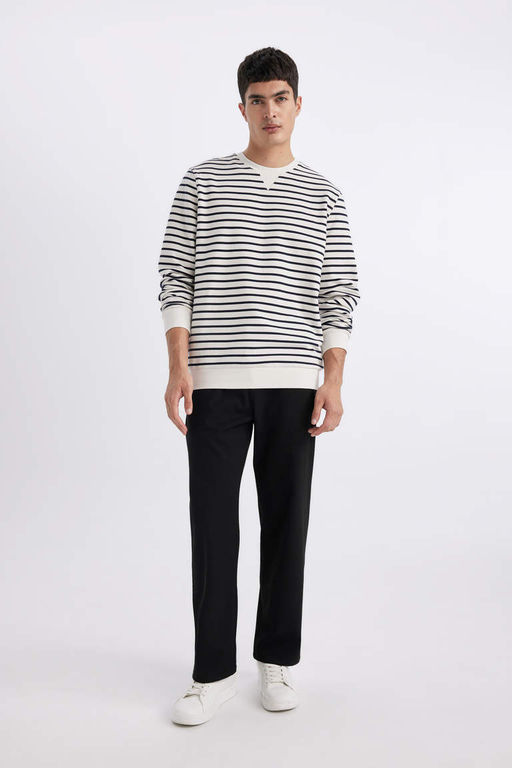 Толстовка в полоску Modern Fit с круглым вырезом - Defacto фото 2