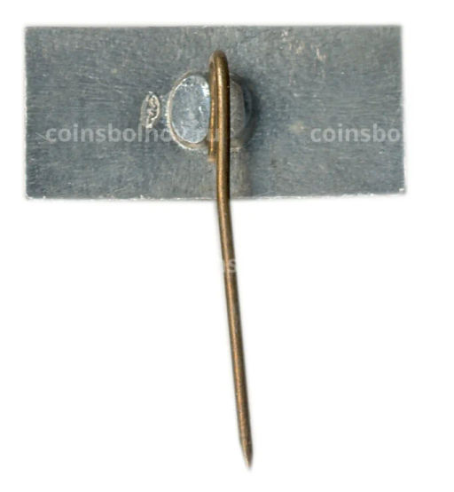 Значок Вильнюс